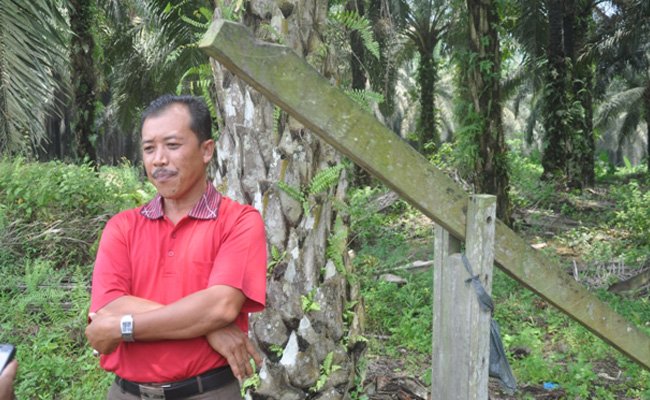 Berharap Hasil Kebunnya Sama Dengan Kebun Plasma
