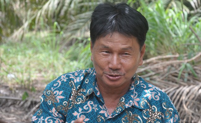 Buat Kebun Itu Tidak Ada yang Gratis