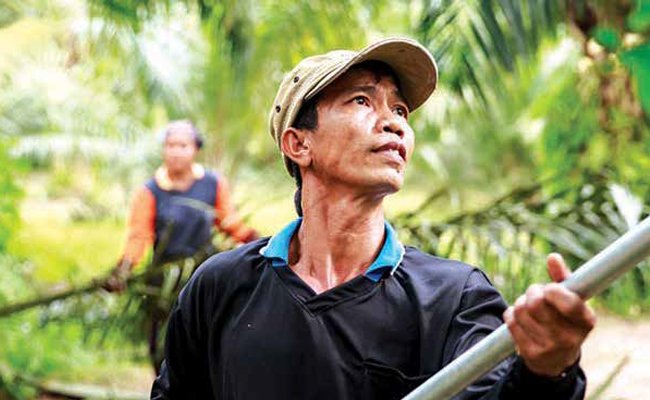 PELUANG MEMPERKUAT STANDAR BERKELANJUTAN