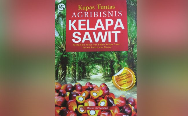 Seluk Beluk Agribisnis Kelapa Sawit