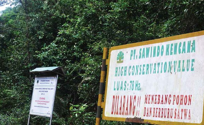 MENJAGA KESEIMBANGAN ALAM, CIPTAKAN KEBUN SAWIT KIAN LESTARI