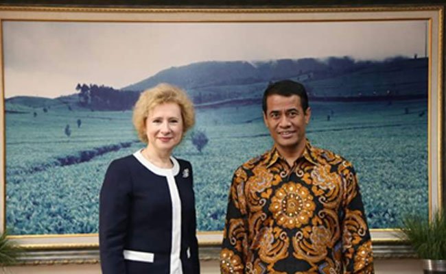 Rusia dan Indonesia Sepakat Perkuat Perdagangan Sawit