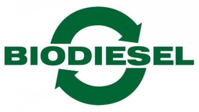 Berharap Biodiesel Sawit Bisa Gantikan Minyak Solar Fosil
