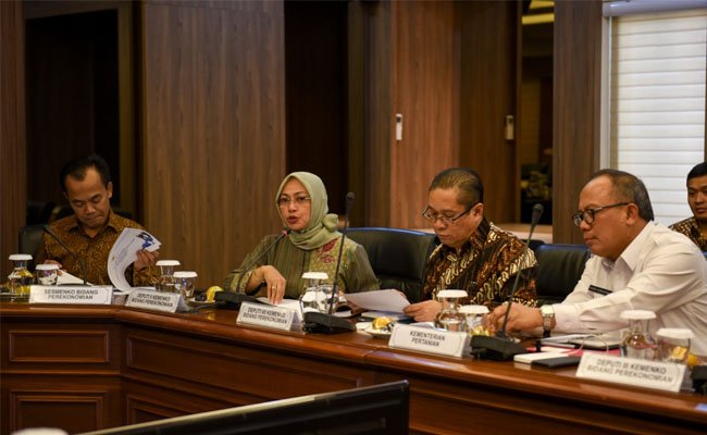 Hadapi Diskriminasi Kelapa Sawit Oleh Uni Eropa, Indonesia Mantap Bawa Ke WTO