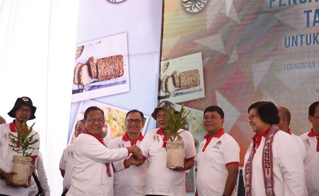 Manfaat Macademia, Rehabilitasi Hutan Hingga Tingkatkan Nilai Ekonomi Masyarakat