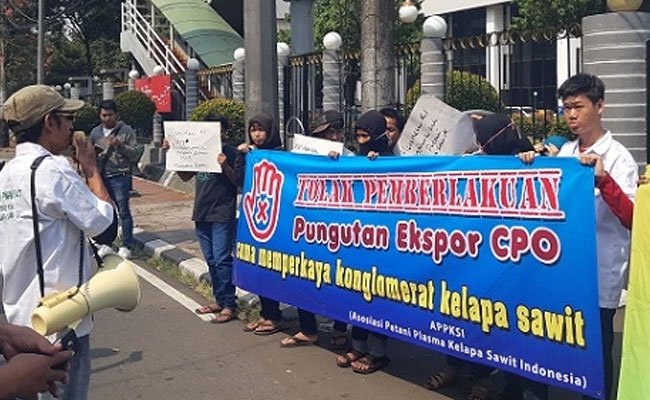 Petani Tolak Kebijakan Pungutan Minyak Sawit (CPO)
