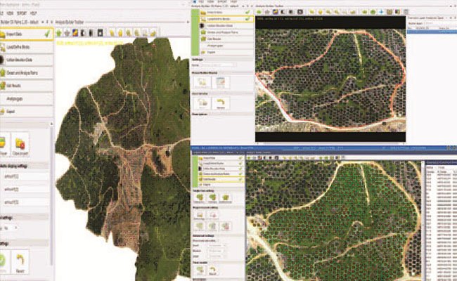 Trimble Dukung Penggunaan Teknologi Di Perkebunan Kelapa Sawit