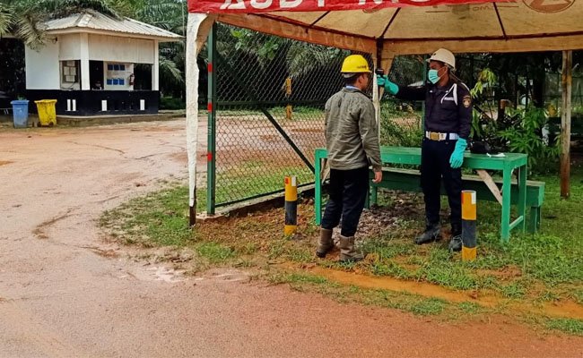 Antisipasi Virus Korona (Covid-19): Membangun Sawit Bersama