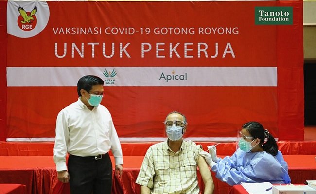 Apical Vaksin Covid19 Seluruh Karyawan, Dukung Pemulihan Ekonomi Sektor HTI dan Sawit
