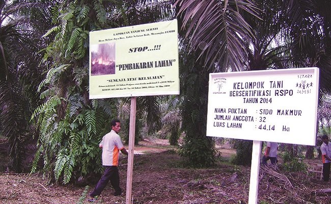 CPOPC Ingatkan Uni Eropa, Produksi Minyak Sawit Telah Sesuai Skim Berkelanjutan