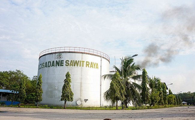 Harga CPO Tinggi, Dongkrak Laba Bersih Cisadane Sawit Raya Diatas 20%