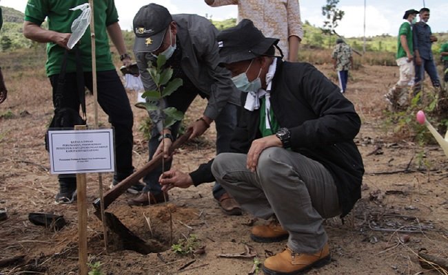 Perusahaan Sawit BGA Bersama Masyarakat, Lakukan Penanaman di Hutan Desa Sembelangaan