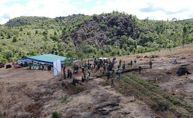 Perusahaan Sawit BGA Dukung Pengelolaan Hutan Desa Seluas 7.708 Ha