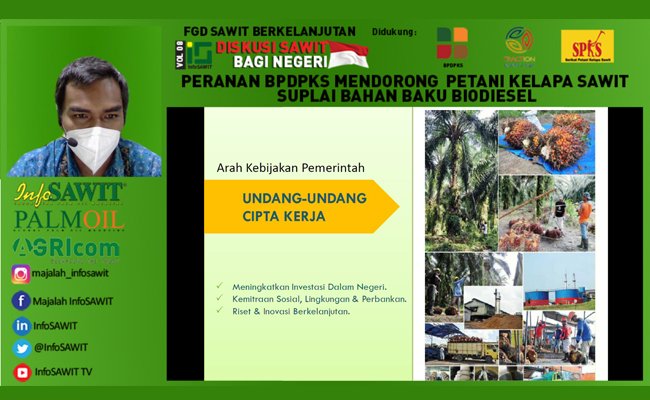 Petani Sawit Swadaya Menanti Keberpihakan Pemerintah Indonesia