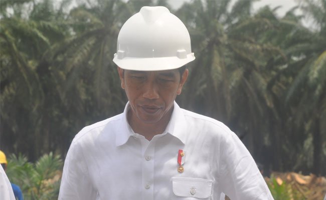 Presiden Jokowi Mengatur Sawit Lebih Ketat