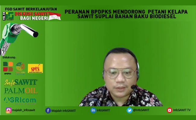 Sawit Harus Sejahterakan Seluruh Mata Rantai Industri Termasuk Petani Sawit Swadaya