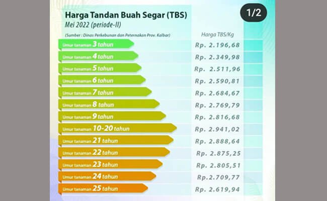 Harga TBS Sawit Kalbar Turun Lagi: Usia 10-20 Tahun Sebesar Rp. 2.941,02/Kg.
