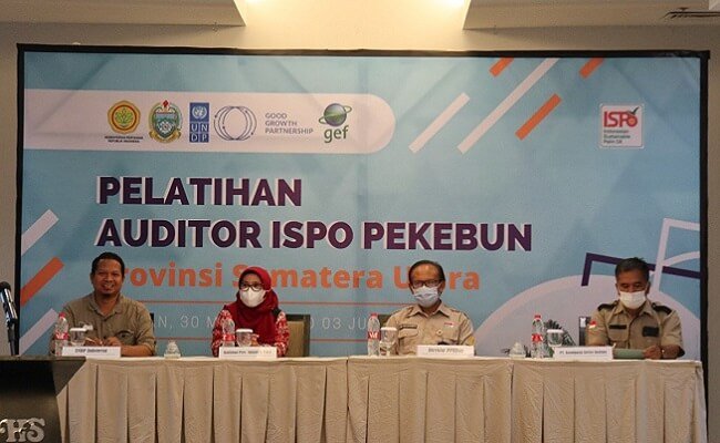 Percepat Sertifikasi Sawit Berkelanjutan Skim ISPO, Pejabat Disbun Dilatih Jadi Auditor