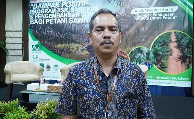 Percepatan Peremajaan Sawit Rakyat, Genjot Kesejahteraan Pekebun Sawit
