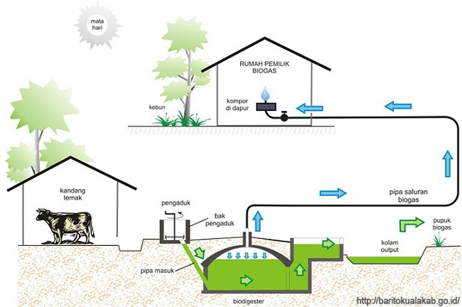 Biogas Jadi Energi Alternatif