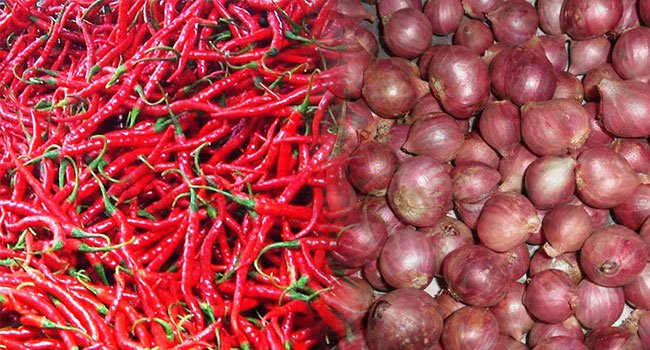 Jangan Terlalu Idolakan Sawit, Bawang Merah & Cabai Juga Menggiurkan