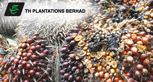 Pendapatan TH Plantation Sebesar RM 488.91 Juta