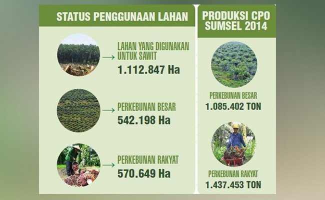 SAWIT SUMATERA SELATAN  KOMITMEN LINGKUNGAN TANPA BASA BASI