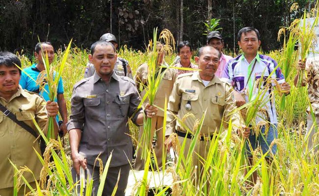 MEMUTUS MATA RANTAI KEBAKARAN LAHAN
