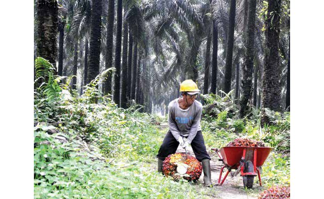 PETANI KELOLA  TANAH AIR