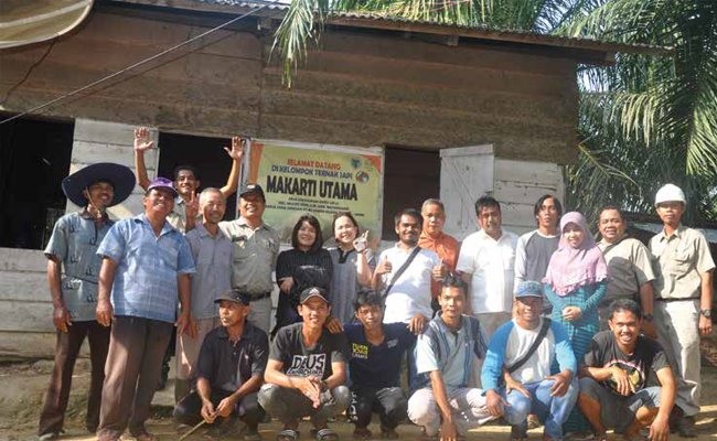 PETERNAKAN SAPI KEMBANGKAN EKONOMI KERAKYATAN 