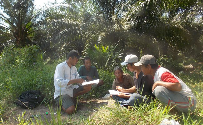 Terkait Upaya Pemetaan Lahan Swadaya,  SPKS Apresiasi Pemerintah