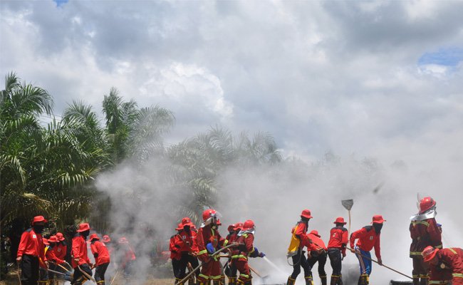 9 Desa Makmur Peduli Api di Jambi Peroleh Bantuan Senilai Rp 900 Juta