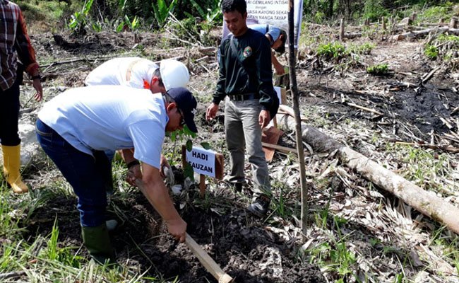 Grup Sawit BGA Bersama Koperasi Plasma Bangun Usaha Pertanian