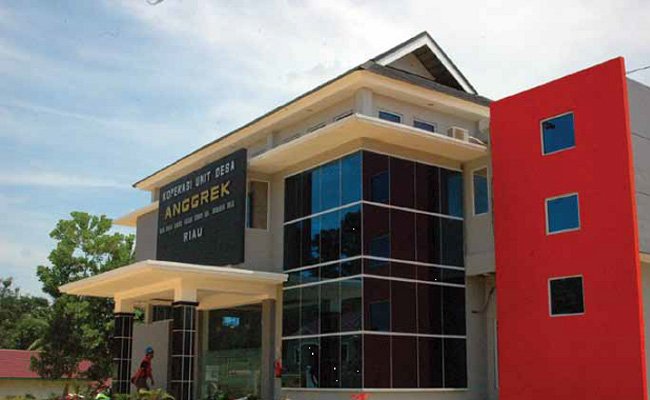 Lewat Koperasi Sawit, Manfaat Berlipat