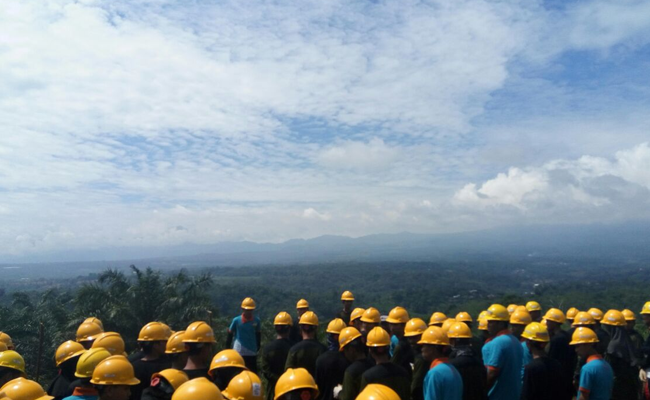 Perkuat Skill Sawit, 130 Mahasiswa Belajar Praktik Di Kebun Sawit