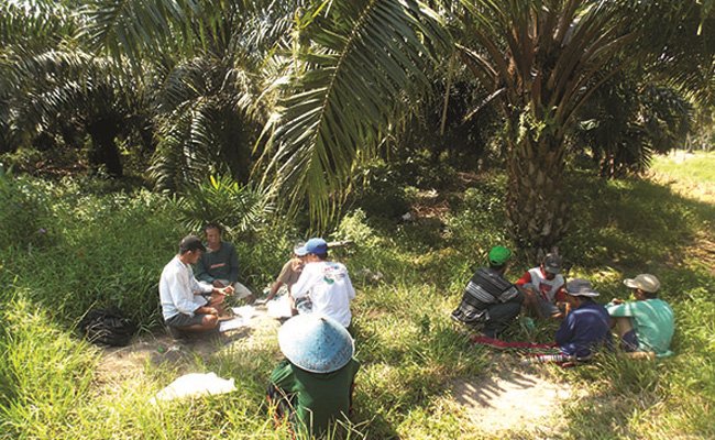 Surat Terbuka Petani Sawit Untuk Uni Eropa
