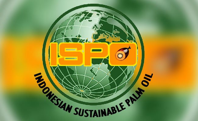Pengaturan Perburuhan dan Transparansi Sertifikasi Minyak Sawit ISPO, Butuh Bukti Nyata.