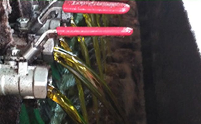 Wabah Virus Corona Sampai Harga Minyak Mentah, Pengaruhi Harga Minyak Sawit
