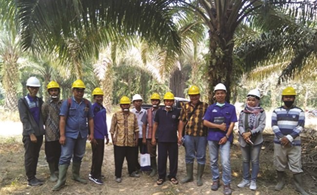 Berikut Manfaat Sertifkasi Sawit Berkelanjutan Bagi Petani Anggota