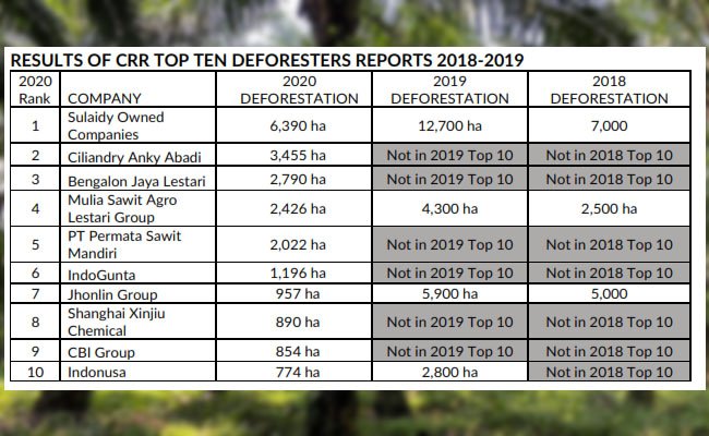 Tiga perusahaan sawit Dianggap Bertanggung Jawab Terhadap 23% Deforestasi