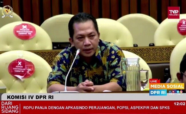 Ini Alasannya Petani Sawit Minta Dana PSR Naik Jadi Rp 60 Juta/ha