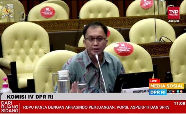 Ini Biang Kerok Program Peremajaan Sawit Jadi Lambat