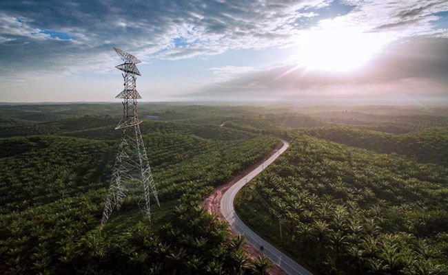 Malaysia Bakal Genjot Produksi Minyak Sawit, Setelah Pasokan Pekerja Asing Diatasi