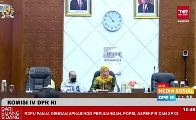 Panja Sawit: Alokasi Pendanaan BPDPKS Banyak Tidak Bersinggungan Dengan Sawit Rakyat