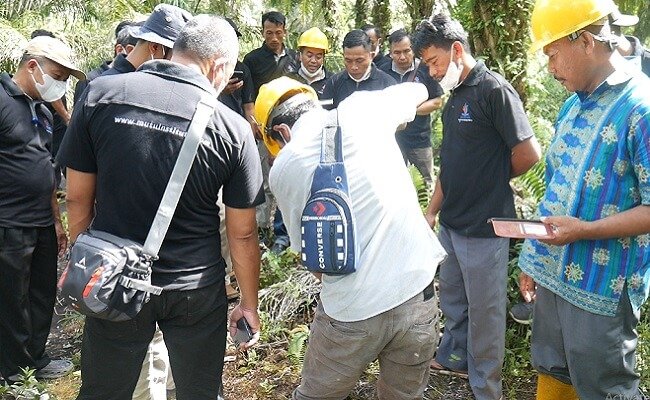Petani Sawit pun Mampu Kelola Gambut Dengan Prinsip Berkelanjutan
