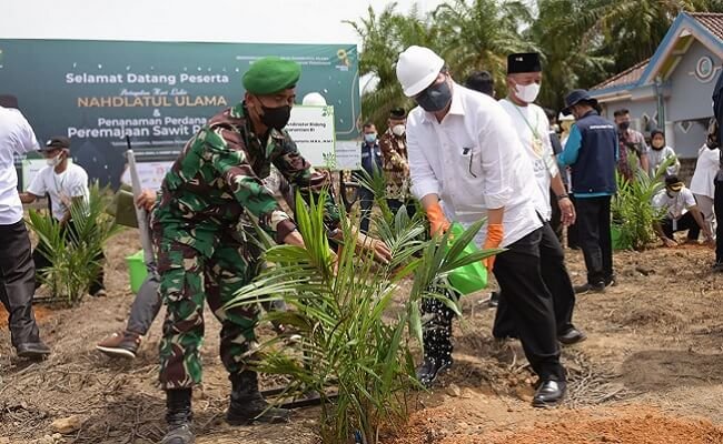 PSR Kab Muara Enim Ditarget 1.399 Ha Mencakup 11 Koperasi Sawit dan Gapoktan