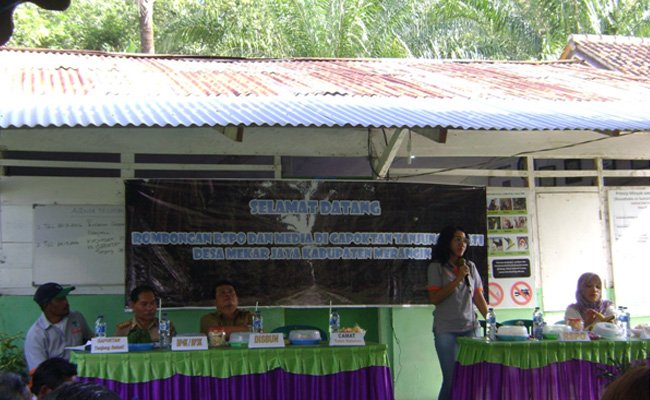 Indonesia Penghasil Minyak Sawit Berkelanjutan Utama di Dunia