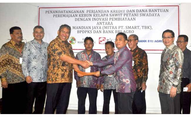 INOVASI PEMBIAYAAN PEREMAJAAN DI PERKEBUNAN SINAR MAS RIAU