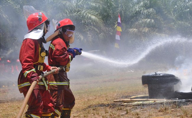 Kepala BNPB Kalbar: Potensi Kebakaran di Kalbar Tinggi