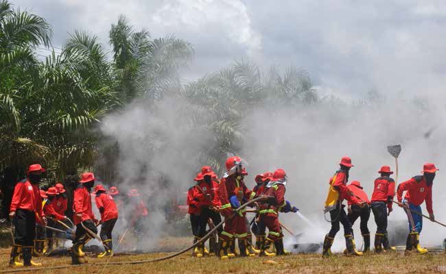 LAHAN MEMBARA,  SIAPA TERSANGKA